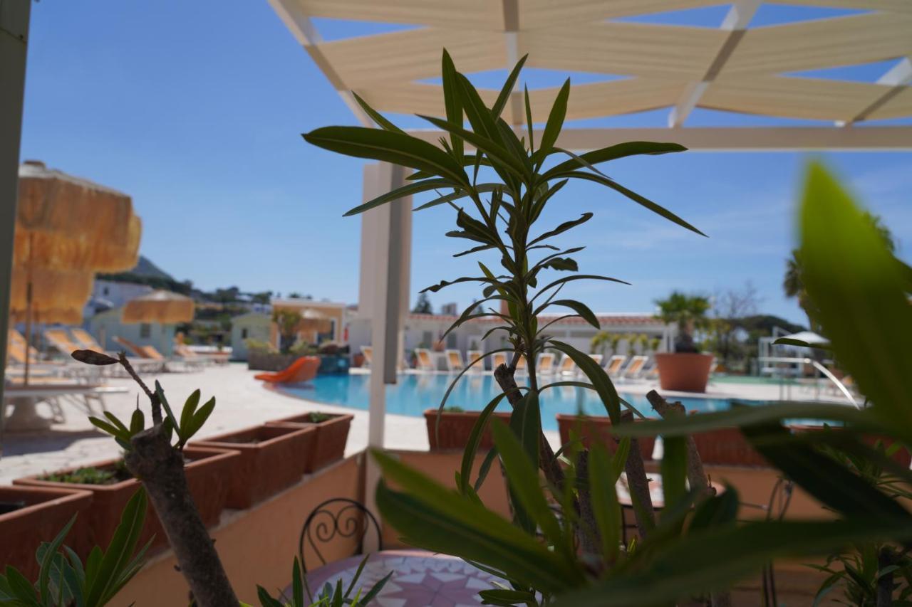 Parco Delle Agavi 4* Forio (Isola d'Ischia)